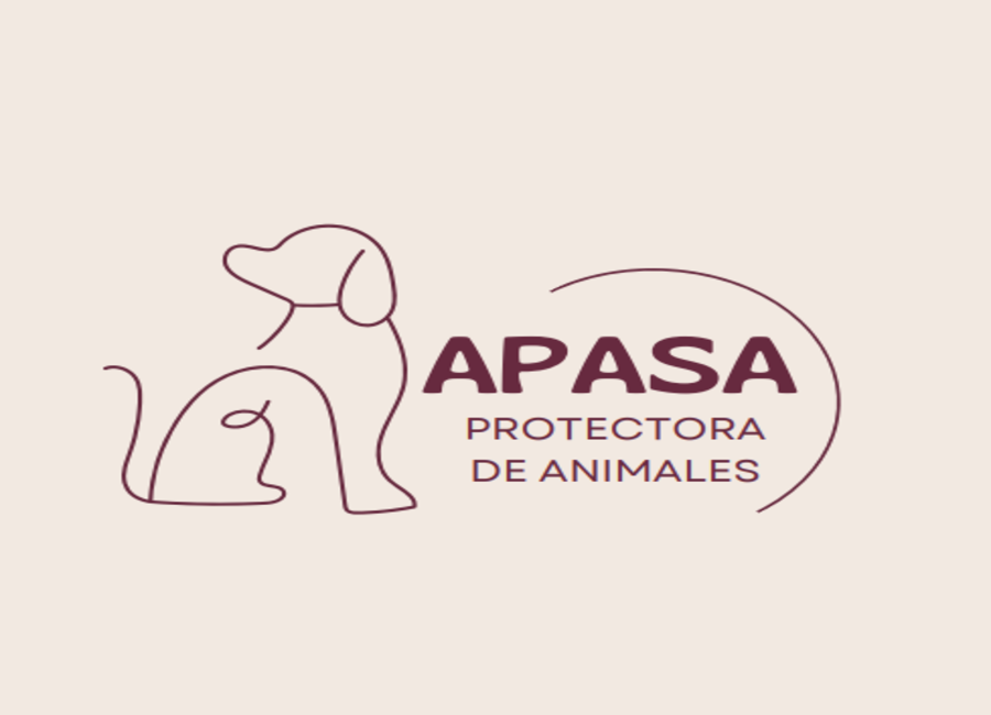 Foto Proyecto 5